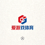 爱游戏体育官方网站底部Logo标识
